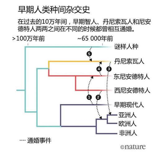 科学|黑人需要多少代混血，才能完全拥有白人特征？