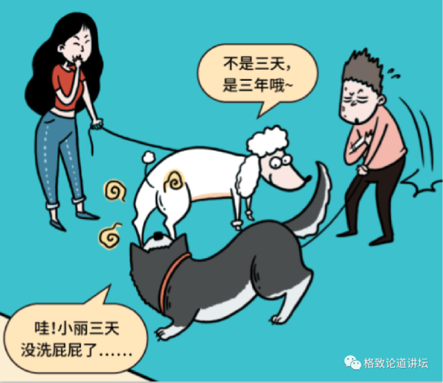 动物|假如世界由狗主宰，摄像机可能会变为“摄味机”