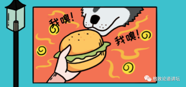 动物|假如世界由狗主宰，摄像机可能会变为“摄味机”