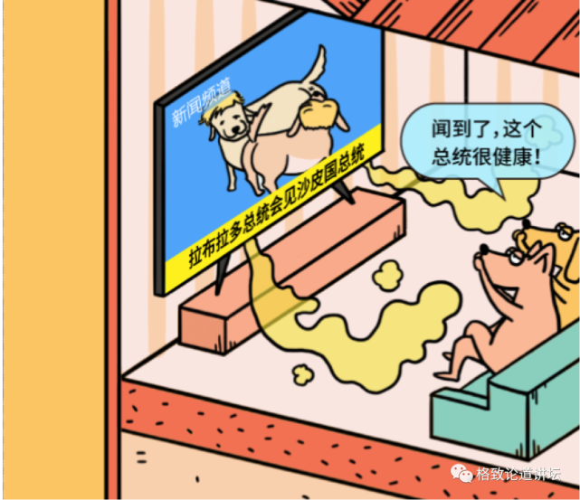 动物|假如世界由狗主宰，摄像机可能会变为“摄味机”