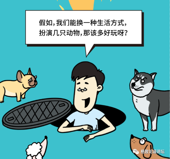 动物|假如世界由狗主宰，摄像机可能会变为“摄味机”