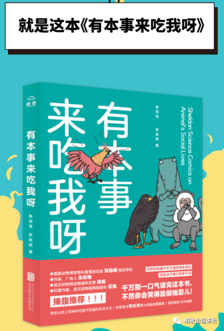 动物|假如世界由狗主宰，摄像机可能会变为“摄味机”