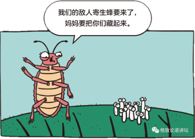 动物|假如世界由狗主宰，摄像机可能会变为“摄味机”