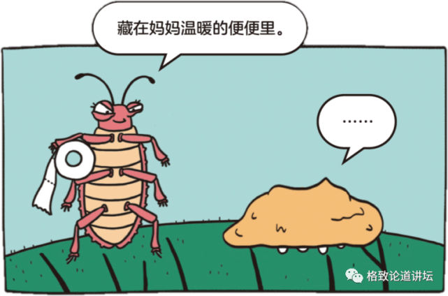 动物|假如世界由狗主宰，摄像机可能会变为“摄味机”