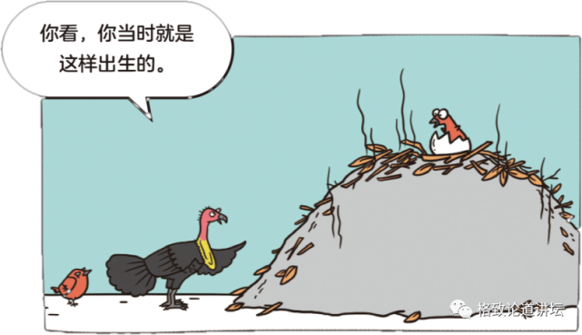 动物|假如世界由狗主宰，摄像机可能会变为“摄味机”