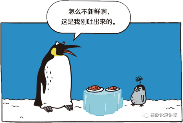 动物|假如世界由狗主宰，摄像机可能会变为“摄味机”