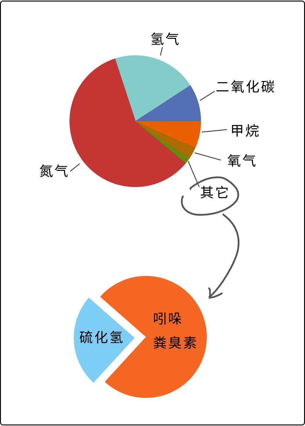 臭鼬|臭鼬到底有多臭？臭到美洲狮都不敢打它的主意