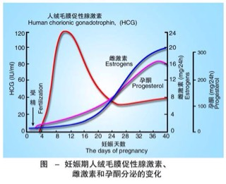 怀孕|中医给女性把脉，诊断出喜脉的原理是什么？