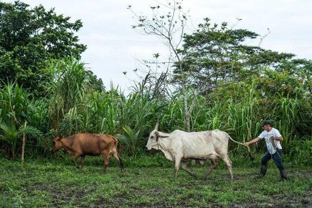 大自然保护协会|世界土壤日｜土壤与气候变化、生物多样性和粮食安全