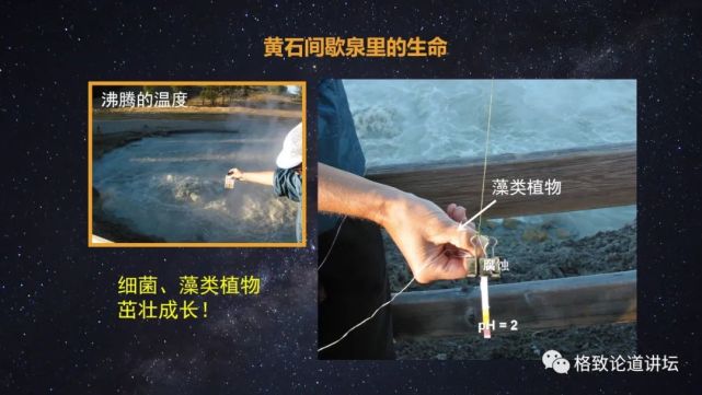 太阳系|被称为“行星捕手”，它如何帮助我们找到新地球？
