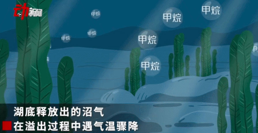 大风|冰泡奇观！气泡还能被“冻”在湖里吗？