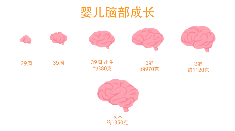 动物|为什么动物生育后代那么轻松，人类生孩子却撕心裂肺？