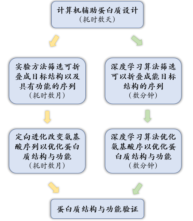 蛋白质结构|会预测蛋白结构的AI，还要教我们设计新蛋白