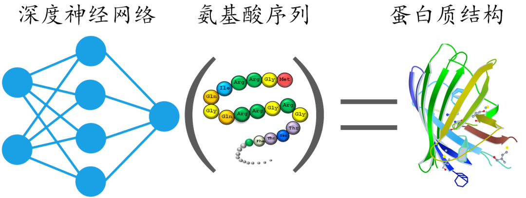 蛋白质结构|会预测蛋白结构的AI，还要教我们设计新蛋白