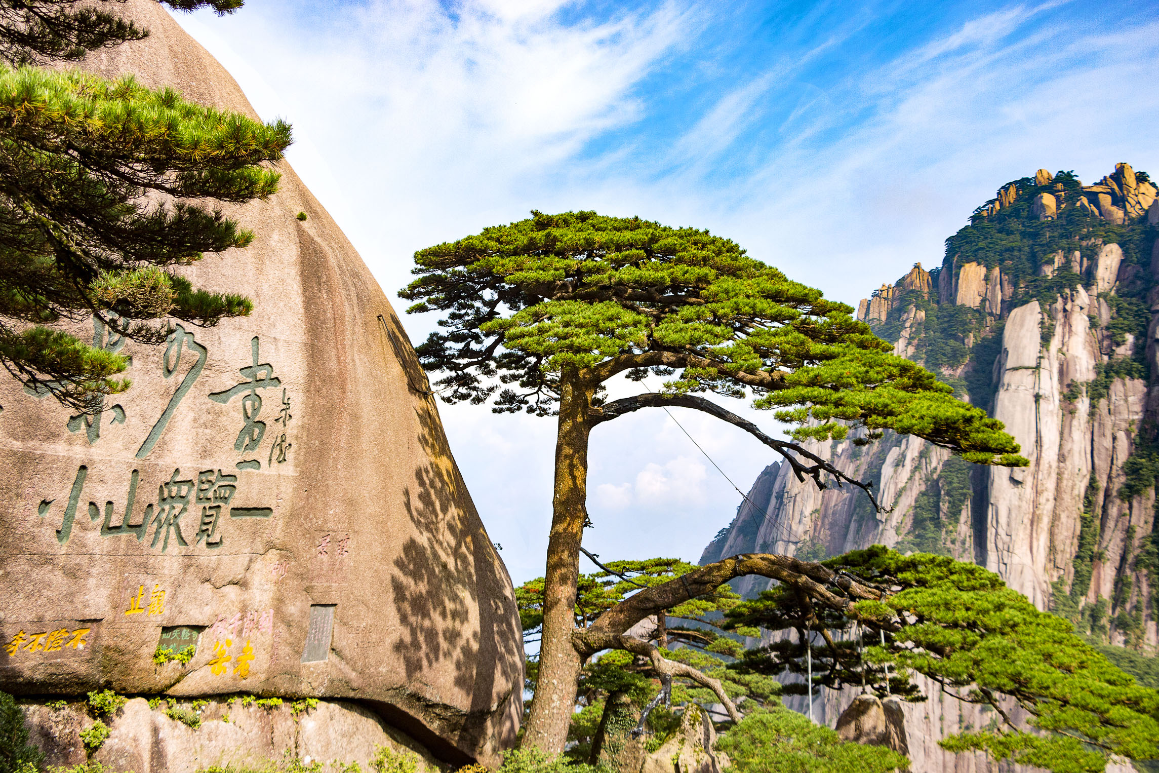 它屹立于黄山之上,早已成了安徽的象征,据悉迎客松已经有800年的历史