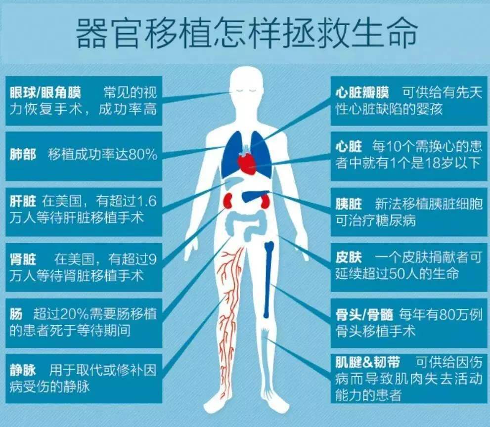 科学|人体死亡后，血管里的血液去哪了？1-2年内遗骸会发生哪些变化？