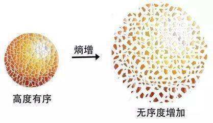 科学|时间真的存在吗，它会不会只是我们脑海中的错觉而已？