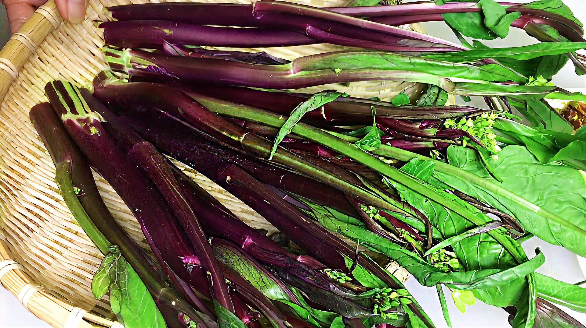酸辣紫菜苔冬天才有的美味不用刀切用手掰更好吃