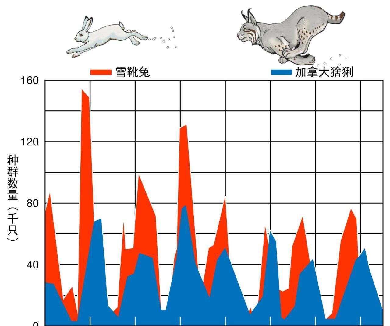 生物灭绝|人类生育速度这么慢这么难，为什么不仅没灭绝，反而活得好好的？