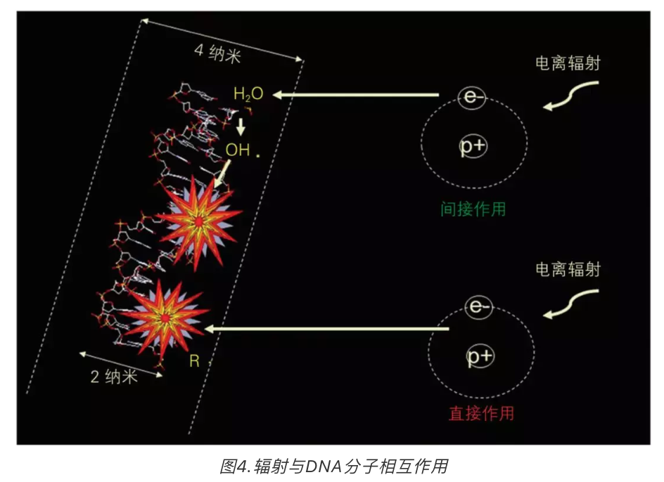 辐射剂量|嫦娥五号带回的2公斤月壤会有辐射吗？如果有，会威胁到地球吗？