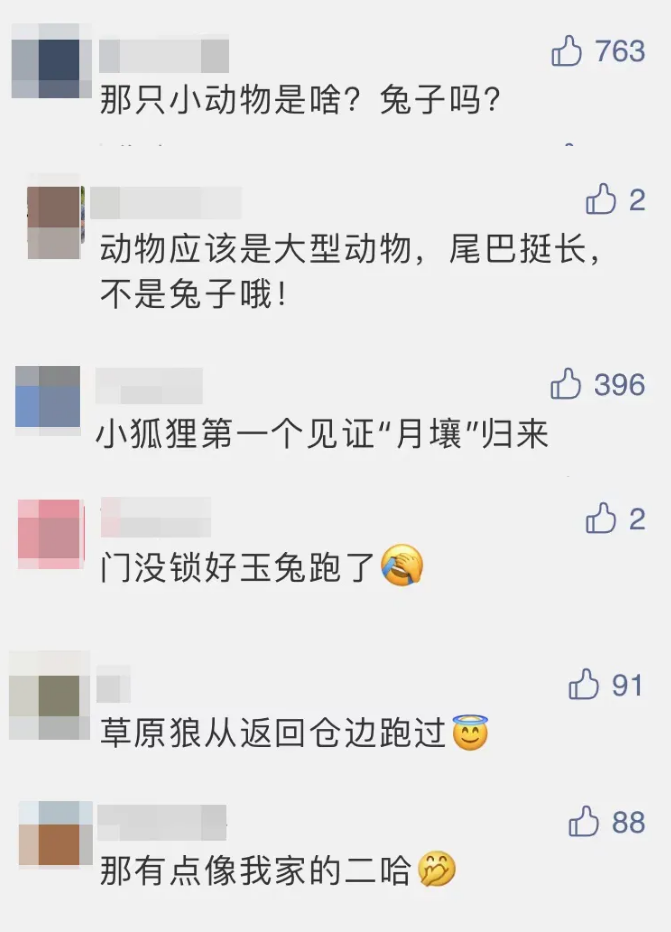 嫦娥|破案了！真的是“玉兔”接“嫦娥”！