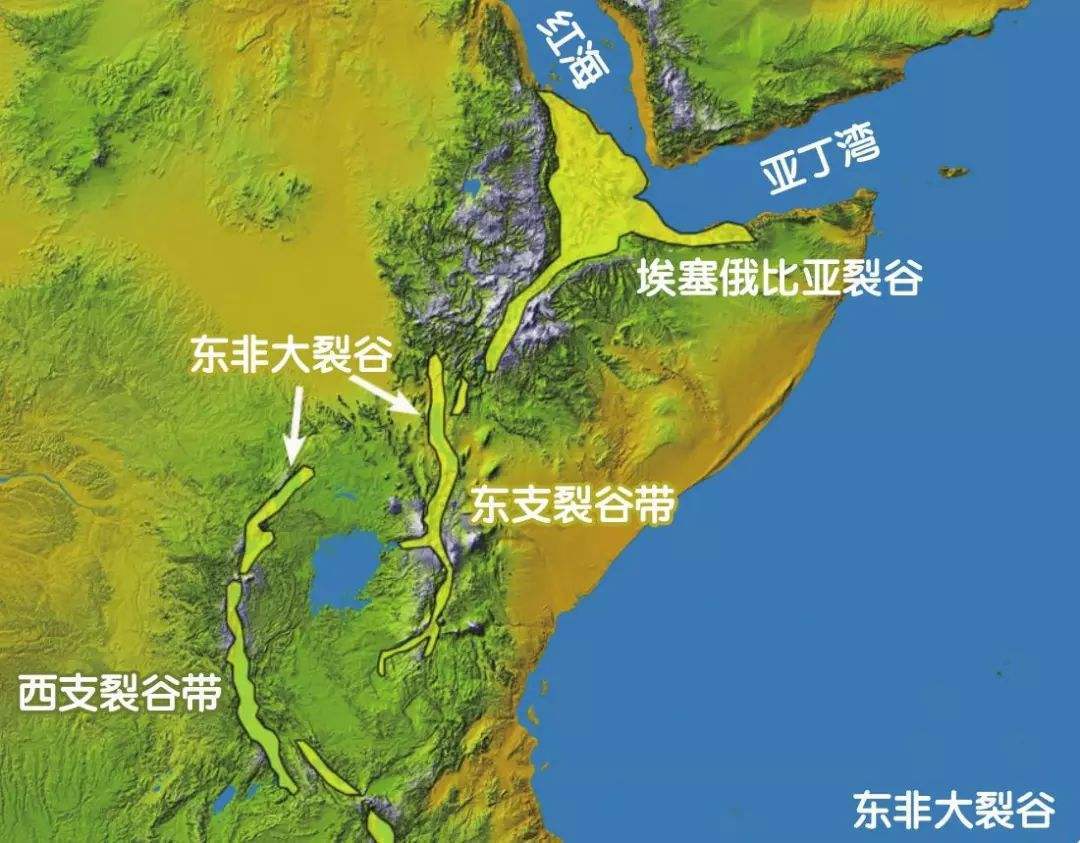 外星生命|6500万年前，会不会是外星人杀了恐龙，然后留在地球演化成人类？