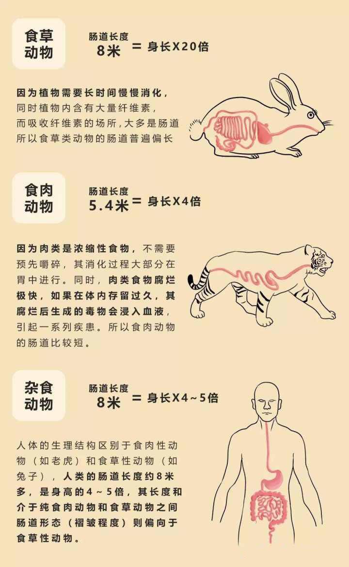 外星生命|6500万年前，会不会是外星人杀了恐龙，然后留在地球演化成人类？