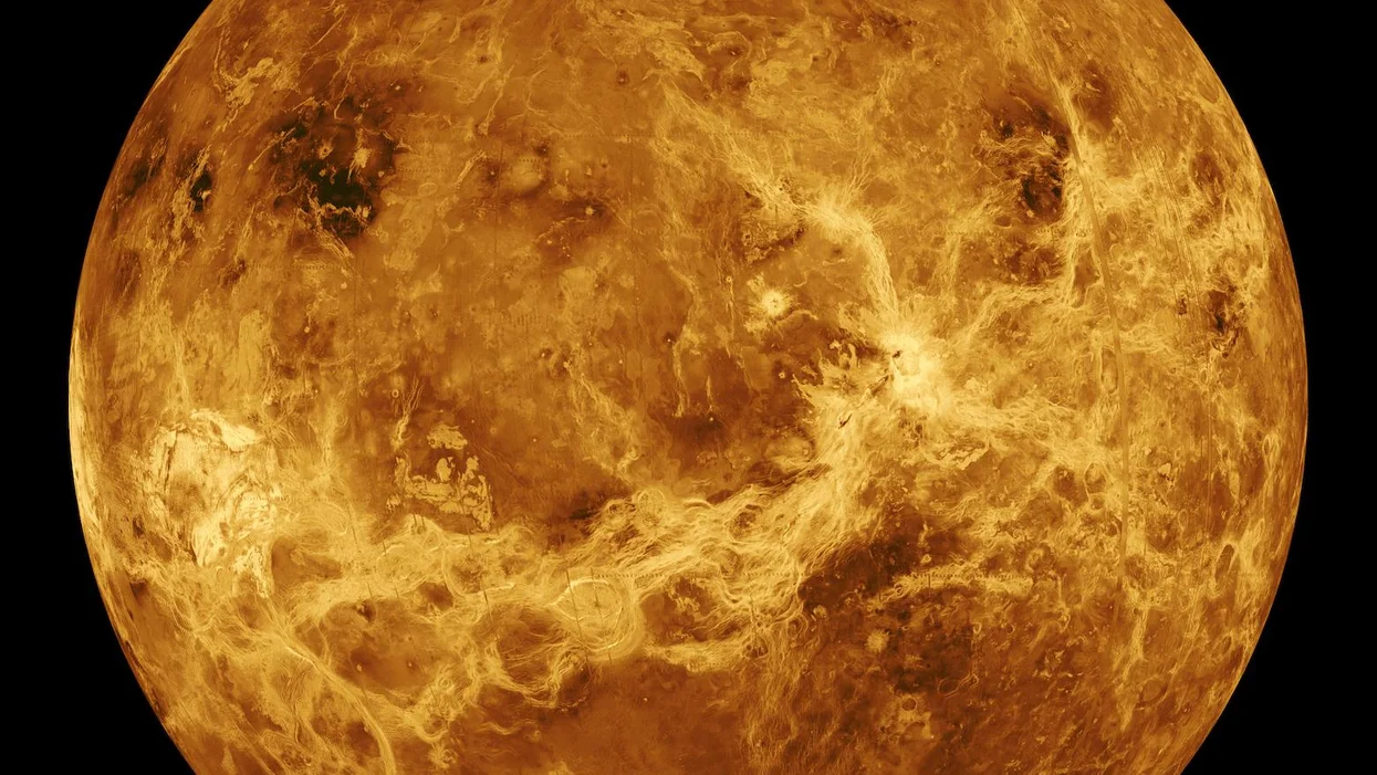 金星|金星又一次像地球一样，但气候变化使它不再适合居住