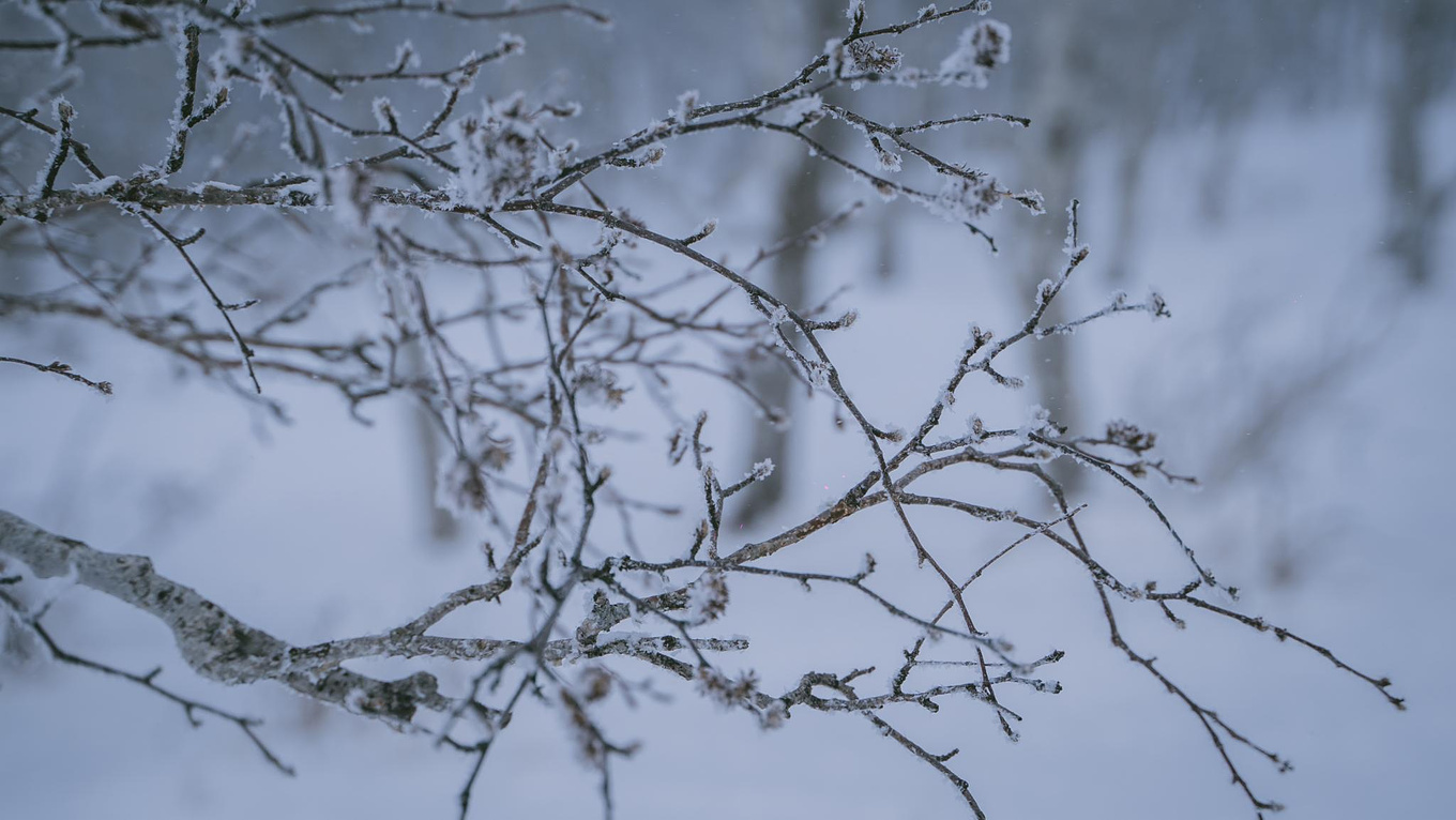 里的小雪人 滑雪雪橇游戏 是我们觉得雪最好玩的样子漫天飘落的细雪