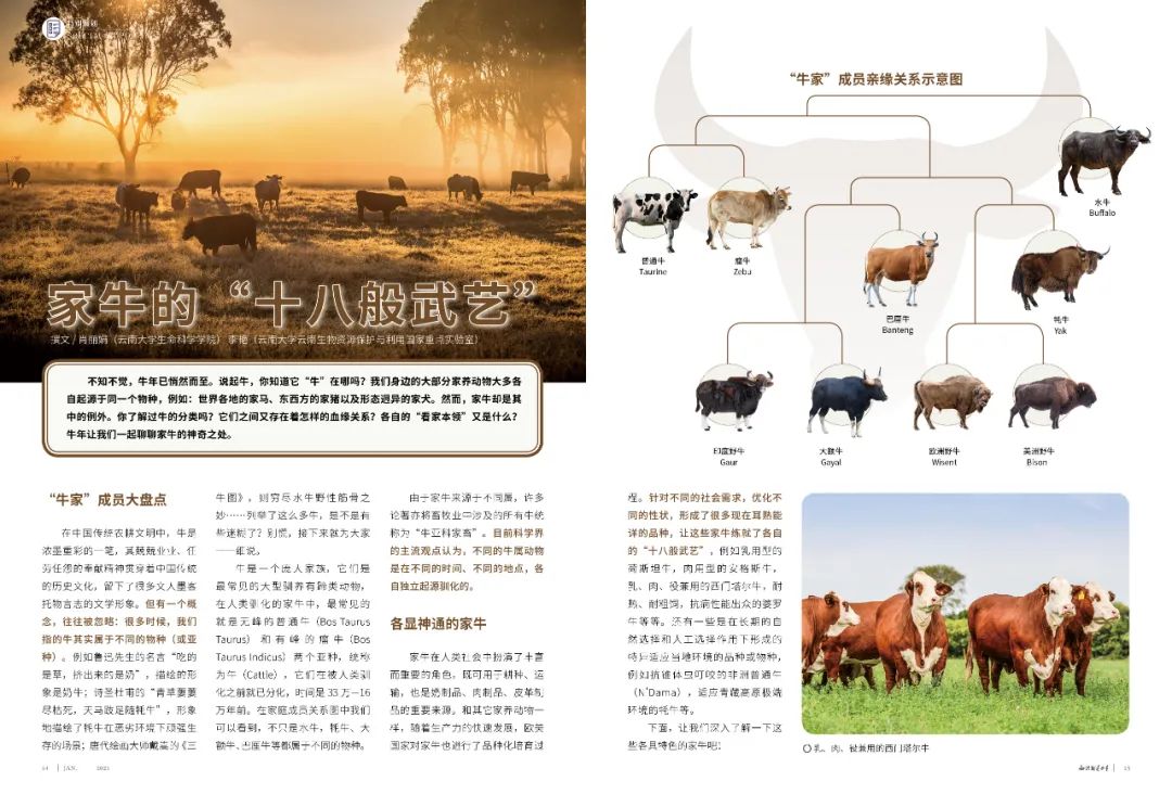 知识就是力量|新年杂志抢先看！订阅全年更有惊喜相送！