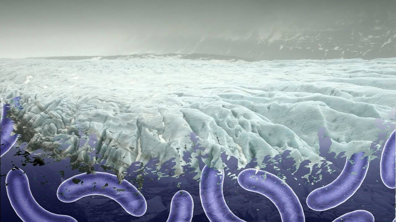 |永冻层再现57000年前遗骸，史前病毒会趁机苏醒，危害人类吗？