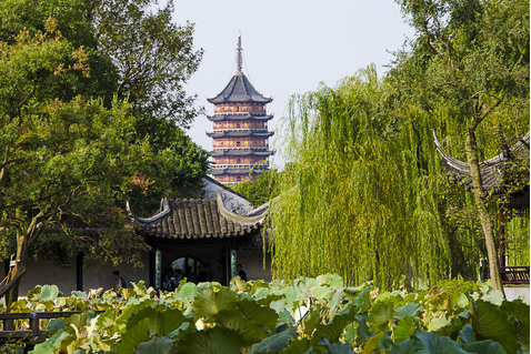 拙政园 借景北寺塔