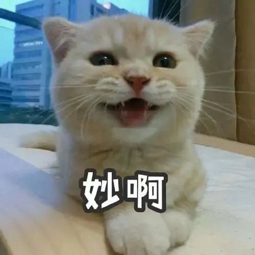 相对论|如果哥哥的年龄比弟弟小，还能叫他哥哥吗？｜和曹则贤一起科学跨年