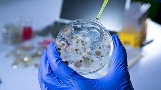 科学|57000年前狼崽被发现，南极爆出新冠病例，大自然正悄悄惩罚人类