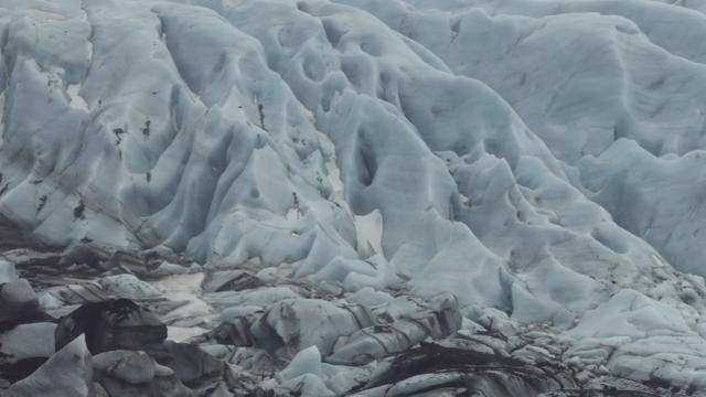 科学|57000年前狼崽被发现，南极爆出新冠病例，大自然正悄悄惩罚人类