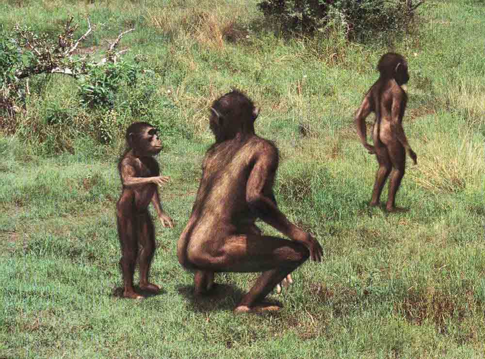 科学|亚当和夏娃是否存在？从生物学的角度来看，的确存在