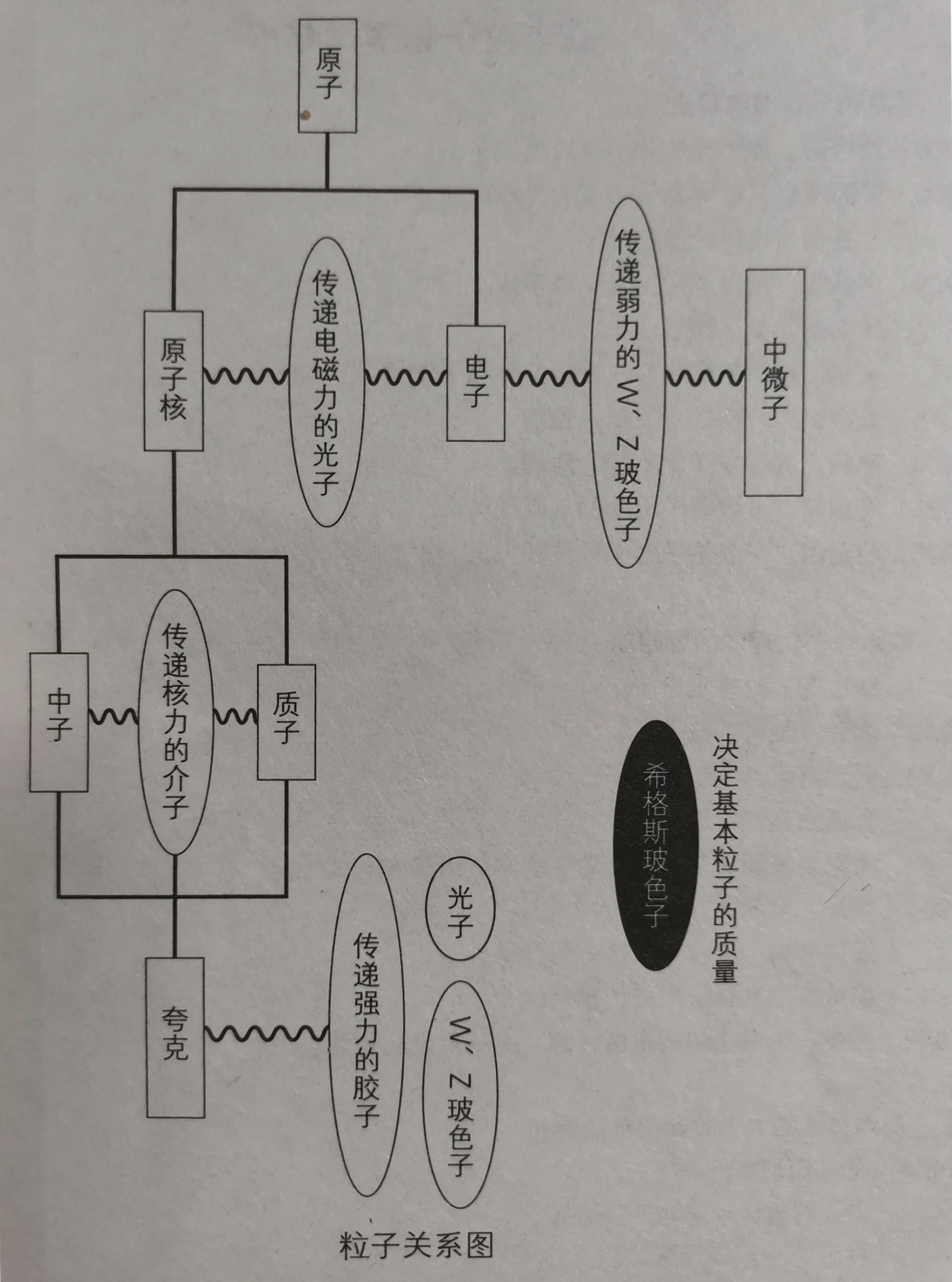 科学|为什么只有光子能达到光速？其他粒子为什么无法达到光速？