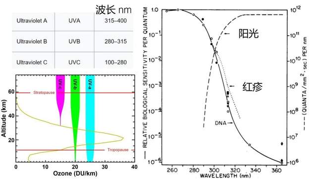 美白|送你一份美白秘方，在2021平平无奇惊艳所有人