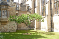 诺贝尔奖|历史上这些学者竟把到手的诺奖“弄丢”，如何把握科研中的机遇和灵感