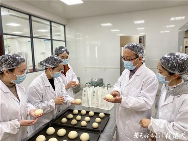 指导速冻面包面团的研究