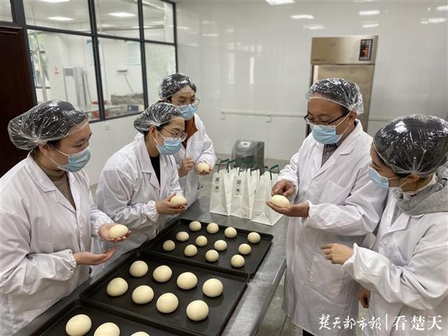 指导速冻面包面团的研究