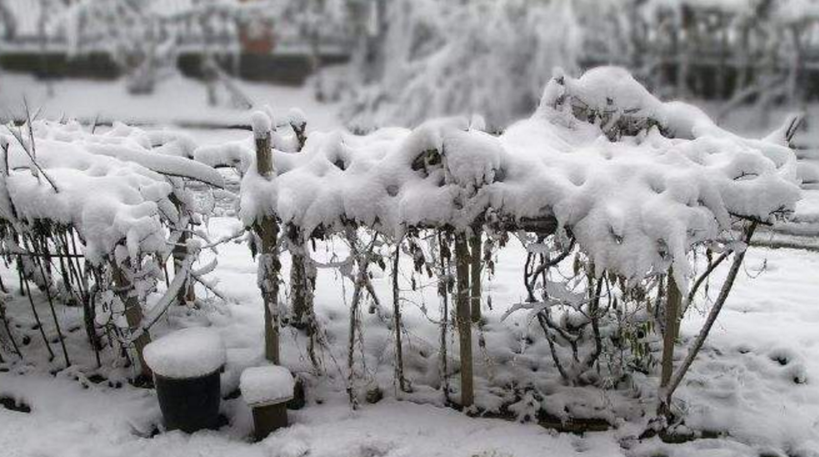 科学|1816年全球居然都没有夏天，甚至出现7月飞雪，这是怎么回事？