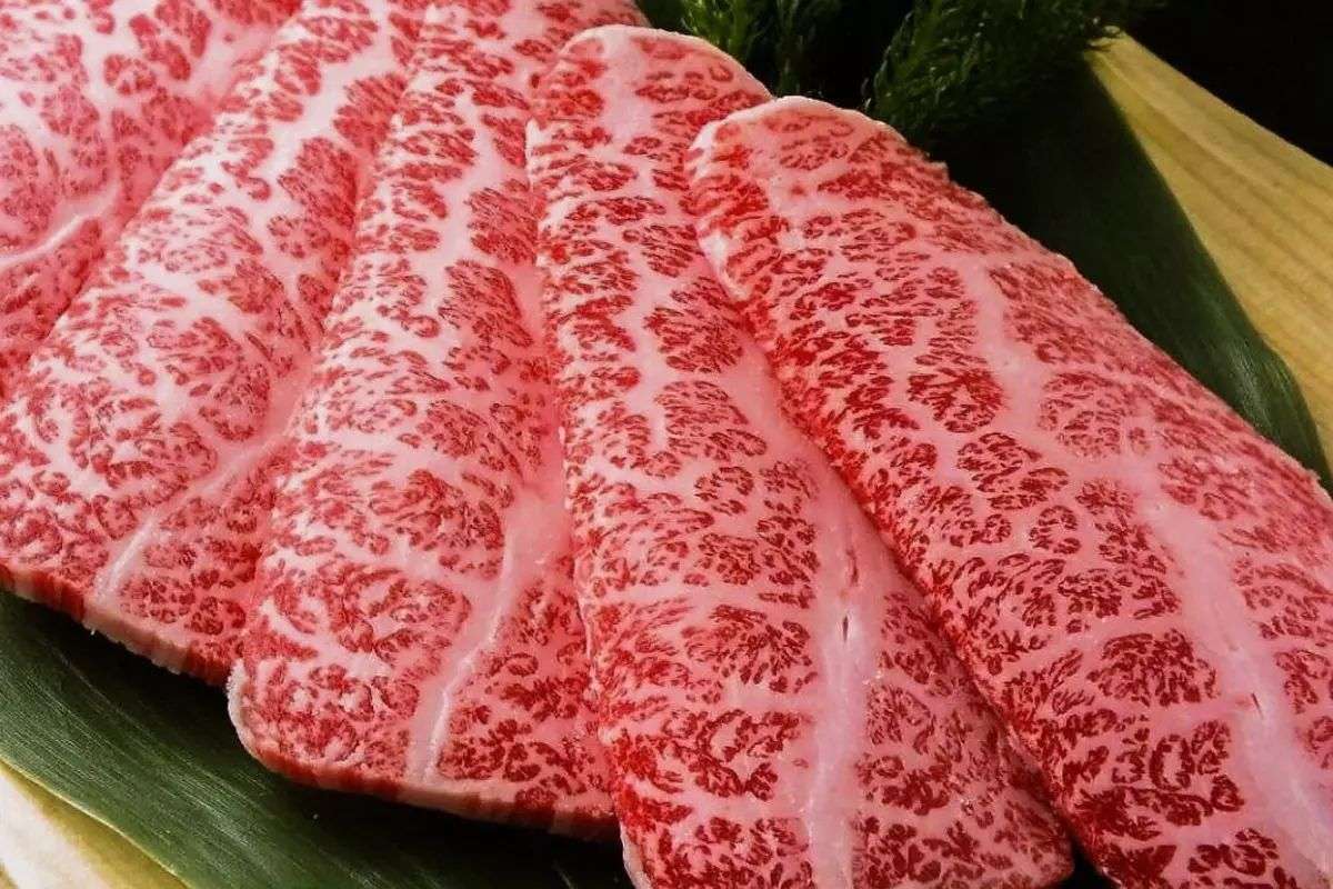肌肉|为什么吃草的牛会拥有一身肌肉，而吃肉的人却难以有肌肉？