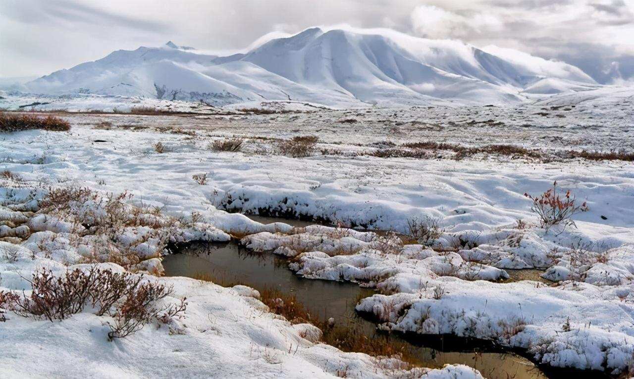 科学|永冻层又现史前生物遗骸，远古病毒或夹杂其中，人类应当警惕