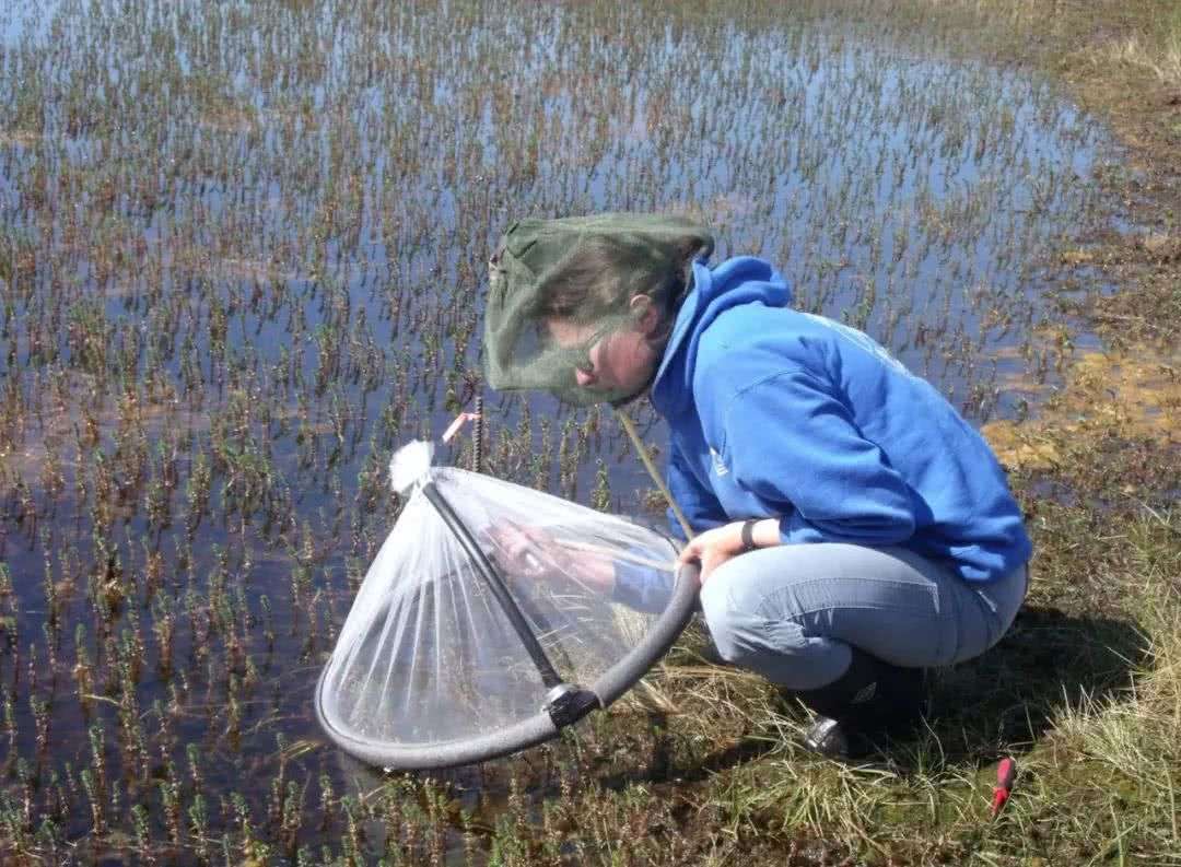 科学|永冻层又现史前生物遗骸，远古病毒或夹杂其中，人类应当警惕