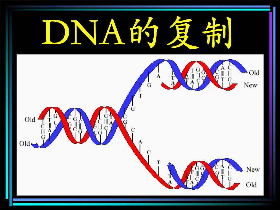科学|人类的极限寿命是多少岁？为什么说长生不老反而会毁灭人类？