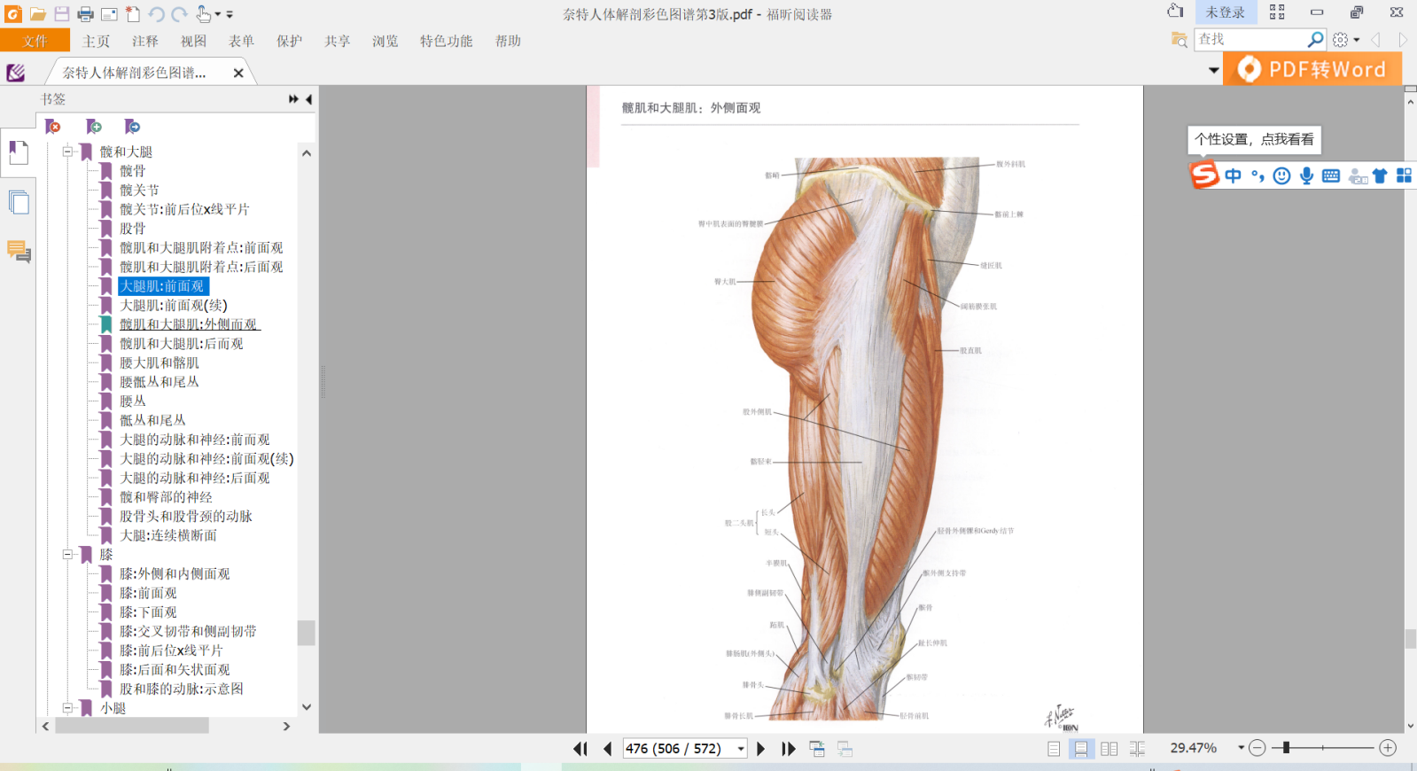 图2 大腿外侧肌肉示意图(图片来源:奈特人体解剖学图谱)