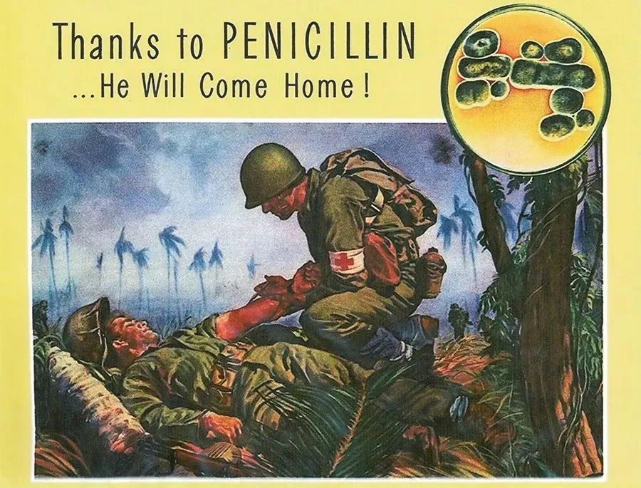 二战中对青霉素的宣传画 来源丨腾讯网