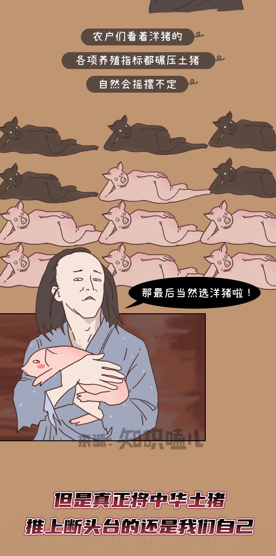 土猪|总感觉红烧肉不香了？那不是错觉，是真的！