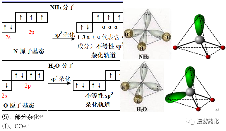 氮原子sp2杂化示意图图片